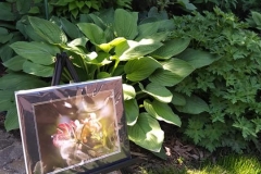 garden-tour-2019-3_orig