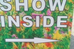 img-20170917-1039114_orig