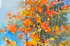 CAEDDB93-D895-4102-AD59-065DAA79D6DA