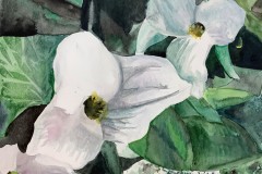 Ella-Huang