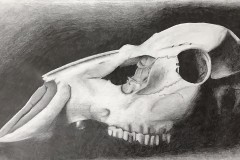 Madelyn-McCarthy