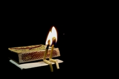 Copy-of-Copy-of-Max_StillLife_Final
