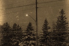 Copy-of-Copy-of-SL_Vintage_Outside