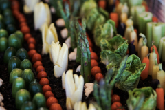 ASK-2024-Gala-Veggie-Garden