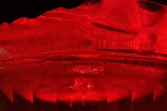 Alex-Bobechko-Photography-Grade-12-CDS