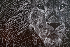 Alexie-Carogioiello-Scratch-Art-Grade-11-CDS