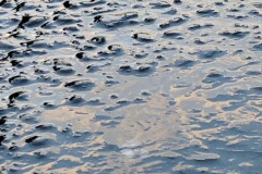 Anne-Marie-Bassi-photography-Grade12-CDS