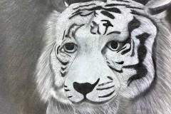 Catie-Kostopolous-Pencil-on-Paper-Grade-10-CDS