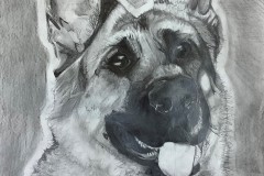 Christian-Tognarelli-Pencil-on-Paper-Grade-10-CDS