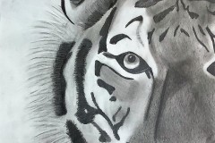 Hadley-McHenry-Pencil-on-Paper-Grade-10-CDS