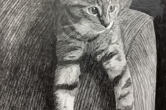 Hayden-Lang-Pencil-on-Paper-Grade-12-CDS