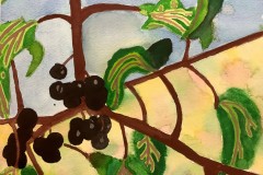 Jessen-Patel-Watercolour-Grade-9-CDS