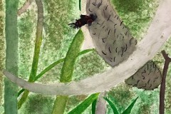 Kai-Williams-Watercolour-Grade-9-CDS