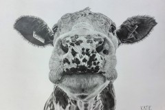 Katie-Chang-Pencil-on-Paper-Grade-10-CDS