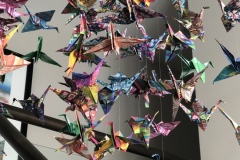 Maya-Pietrobon-Mobile-Grade-12-CDS