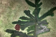 Noah-Hudson-Watercolour-on-Paper-Grade-9-CDS