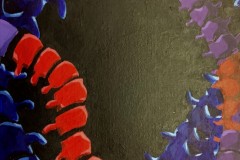 Sophie-Kim-Acrylic-on-Canvas-Grade-11-CDS