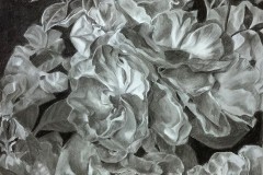 Sophie-Kim-Chalk-and-Charcoal-Grade-11-CDS