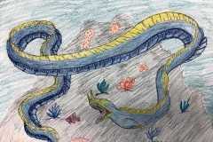 Tyler-Shepherd-Pencil-Crayon-on-paper-Grade-9-CDSJPG