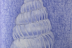 Villanova-College-20-edited