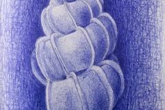 Villanova-College-21-edited