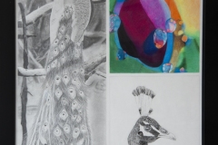 Villanova-College-4-edited