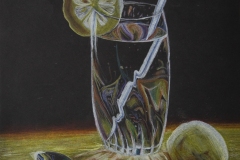 Villanova-College-9-edited