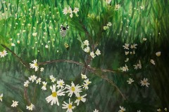 Wolfgang-van-Gulik-Watercolour-Grade-9-CDS