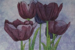 KRodgers-2019-Purple-Tulips