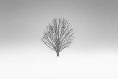 SSilverman_2021_Winter_Solitude