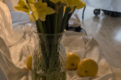 PXL_20260322_180732703.MP_