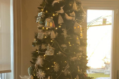 3AD8C538-450C-410B-A633-C25C16A9D0EF