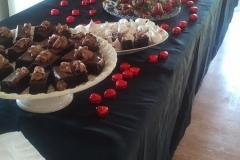 concert-picture-7_orig