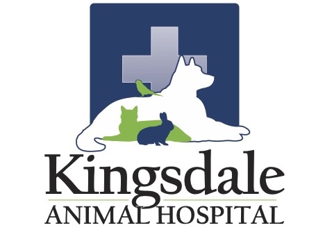 Kingsdale logo